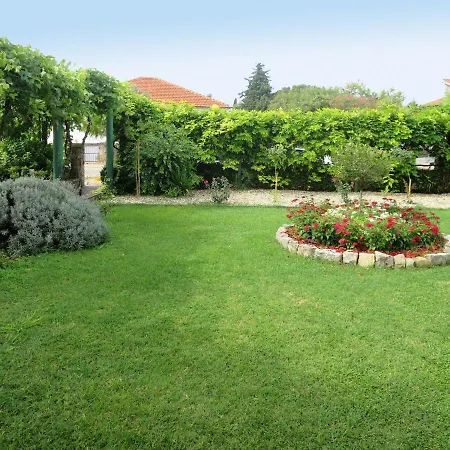 Apartment Smilja